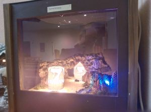 img_20161218_192102_1